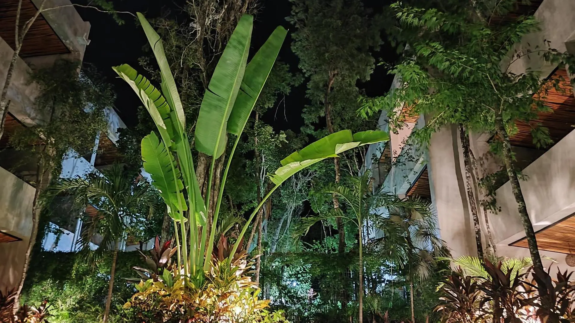 In Harmony With Nature Tulum