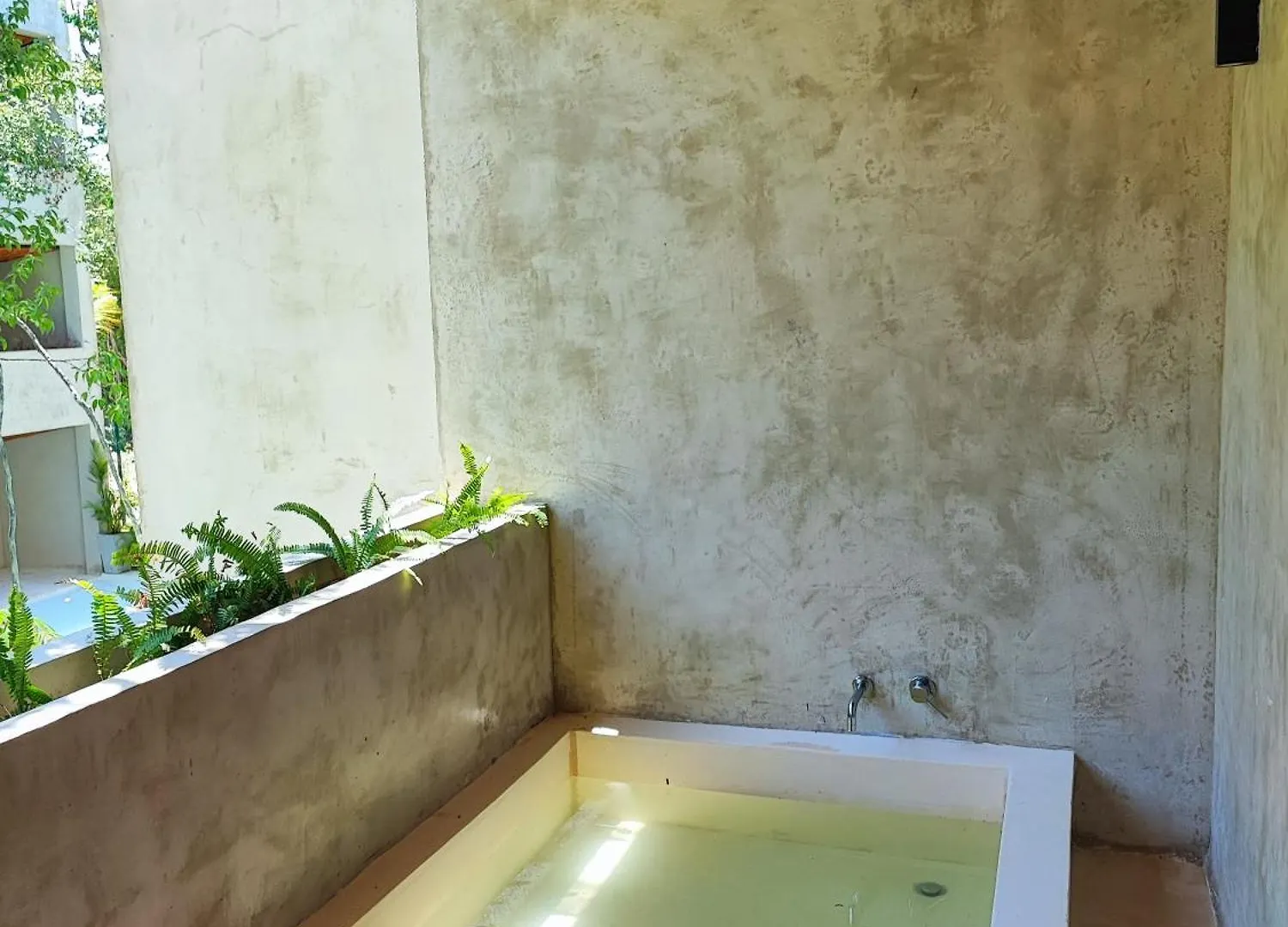 In Harmony With Nature Tulum